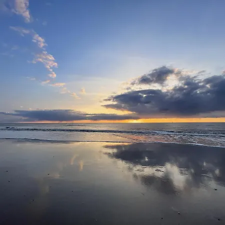 Strandsonne * List