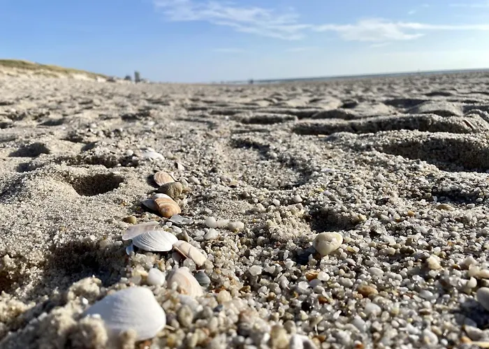 شقة Strandsonne ليست